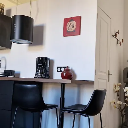 L'asiatique - Ambiance Zen Centre - Airbookingangers * אנז'ה