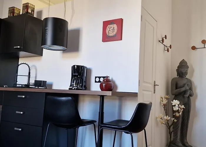 L'asiatique - Ambiance Zen Centre - Airbookingangers * אנז'ה